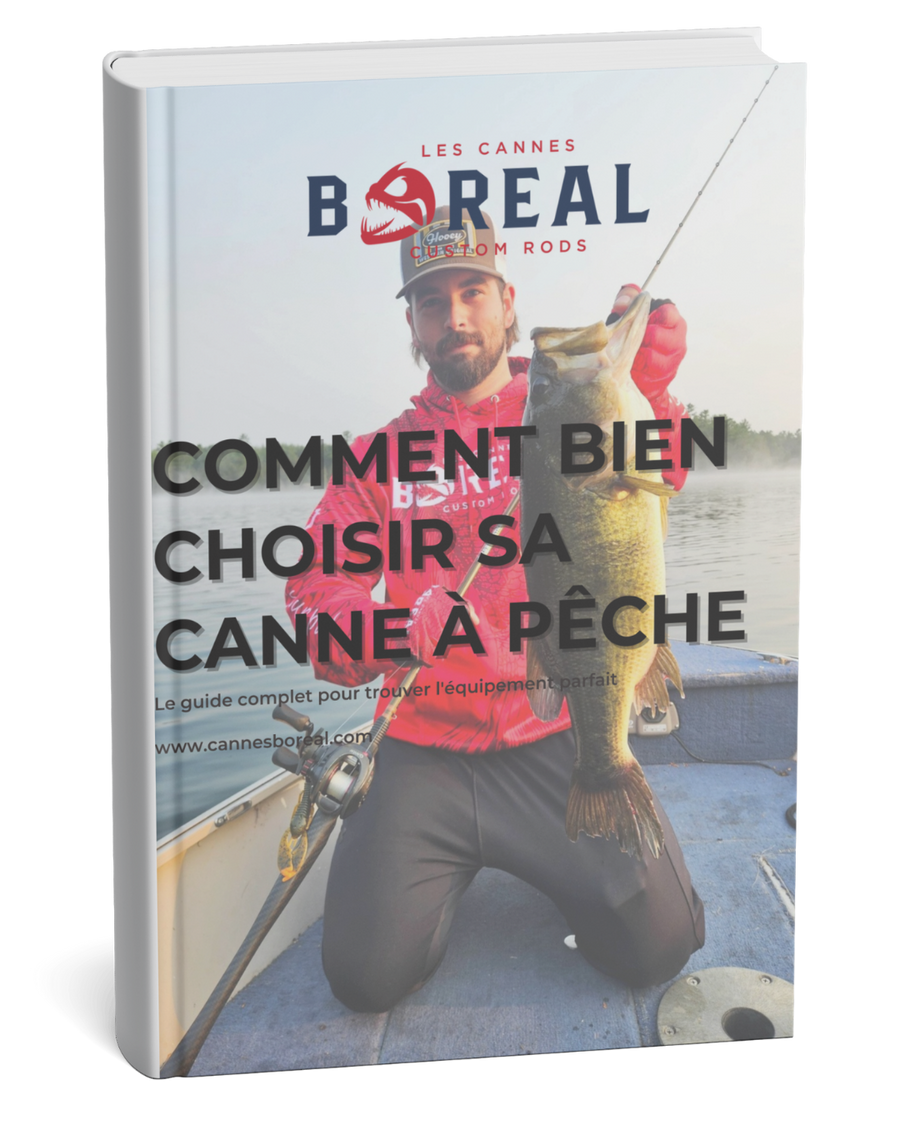 Aperçu du guide – Comment bien choisir sa canne à pêche